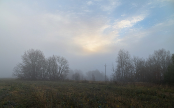 утро туманное / ***