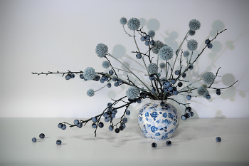 Натюрморт с тёрном и мордовником / ***