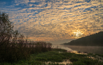 Ноябрьское утро. / ***