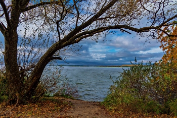 Опавший лист, в глазницу водоёма, соринкой мелкой медленно летит. / ***