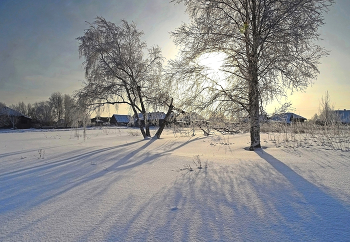 Зимние свет и тени / Сибирь