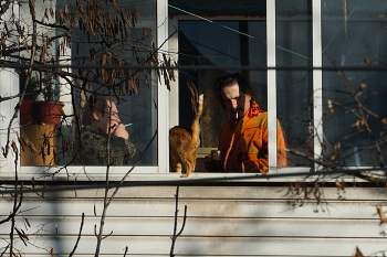 Утренний кофе / ***