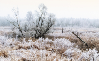 Кружево / Ноябрьские сюжеты