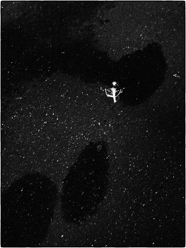 &quot;Стрелец&quot; / ***