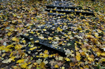 &nbsp; / В городском парке...