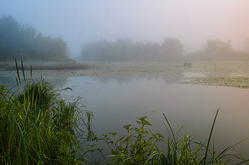 Летом. / Озеро Сосновое.