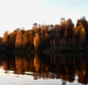 Очей очарованье... / Осень золотая