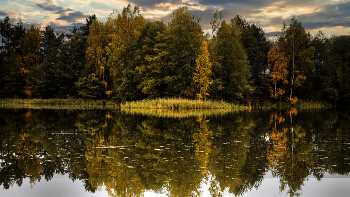 Осеннее впечатление. / Осенних дней прозрачная вода...