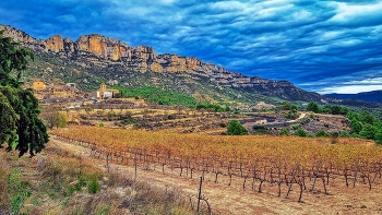 &nbsp; / La Morera de Montsant - vinyes a la tardor - Priorat
