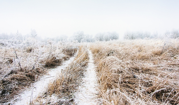 Навстречу метели / Ноябрьские сюжеты
