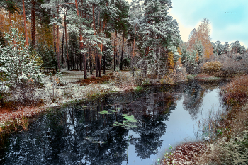 &nbsp; / Природа Южного Урала