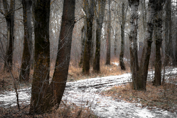 Ноябрь / Ноябрь