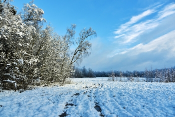 &quot;Уснуло лето с осенью на год, пришла пора заснеженного счастья...&quot; / &quot;Нежной хризантемой выпал первый снег,
 Кончился осенний незамужний век.
 Белою невестой осень ноября,
 Небо нарядило, видимо не зря ...&quot;
 Н.Самоний