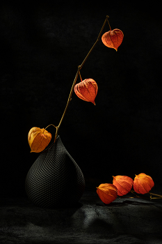 Этюд с физалисом / 2025