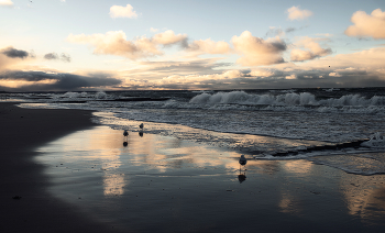 Балтийское / ...