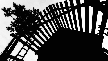 Жизнь вокруг / ***