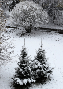 Где ты, ЗИМА_1 / Где-то ...