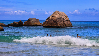 &nbsp; / Сейшелы. Остров Праслин