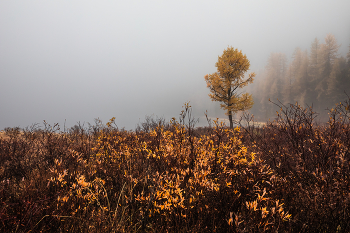 &nbsp; / Алтай. Озеро Киделю