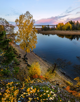 Провожая осень / Парк Монрепо. Город Выбор. 
Из фотопроекта «Магия Ленинградской области».