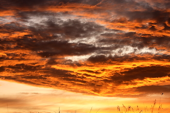 стихия..... / ***