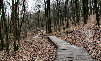 За поворотом будет зима. / ***