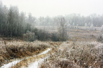 Ноябрьский снег / Ноябрьский снег растает завтра,а сейчас Я любоваться буду !