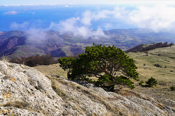&nbsp; / Крым, Южный Демерджи