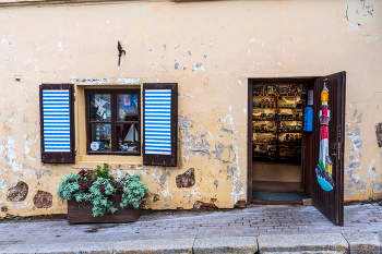 Город Выборг. / ***