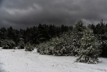 Декабрь / ***