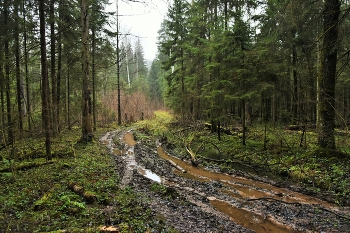 &quot;Грусть воцарилась, безнадежная унылость ...&quot; / 1 декабря ...