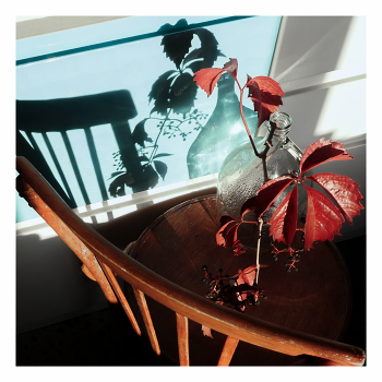 &nbsp; / дачно-кухонный этюд )