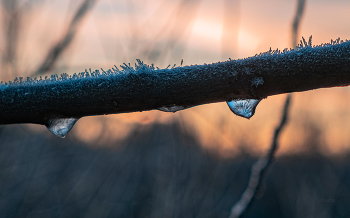 Замёрзшие капли. / ***