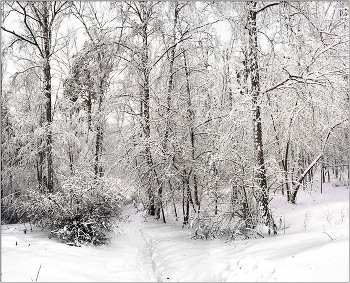 В ноябре 2025 / Новосибирск, ноябрь 2025 г.