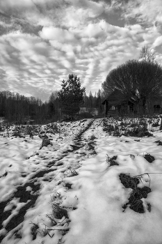 Жизнь вокруг / ***