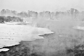 ЗИМУШКА СИБИРСКАЯ / Протока Татышева. На берегу Енисея, в Красноярске.