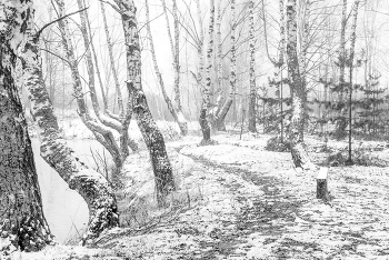 Белый танец. / Морская фигура замри...