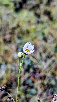 *декабрь 25 / ***