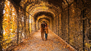 Приглашение в осень / Австрия.Вена