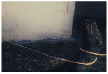 &nbsp; / Еще натюрморт &quot;сваял&quot;.