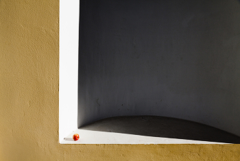 Царскосельские парки 8 / ...