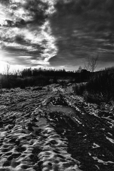 Жизнь вокруг / ***