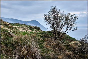 Анапа в ноябре. / Анапа. Ноябрь. Высокий берег.