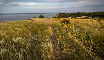 Волжские берега3. / ***