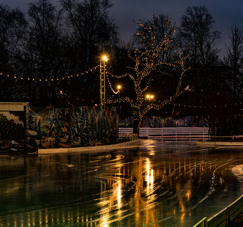 Растаявший каток. / ***