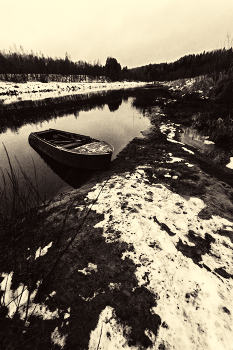 Жизнь вокруг / ***