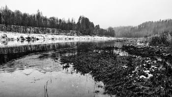 Жизнь вокруг / ***