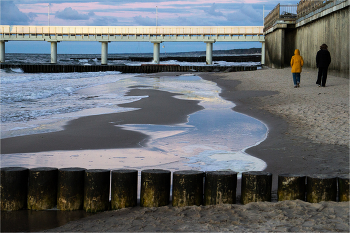 спинограмм балтийский / ***