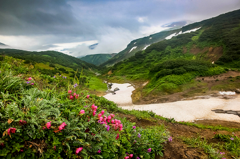 На Камчатке / Возле дачных источников
