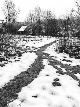 Жизнь вокруг / ***